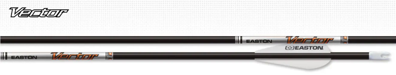 Flèche Easton Vector